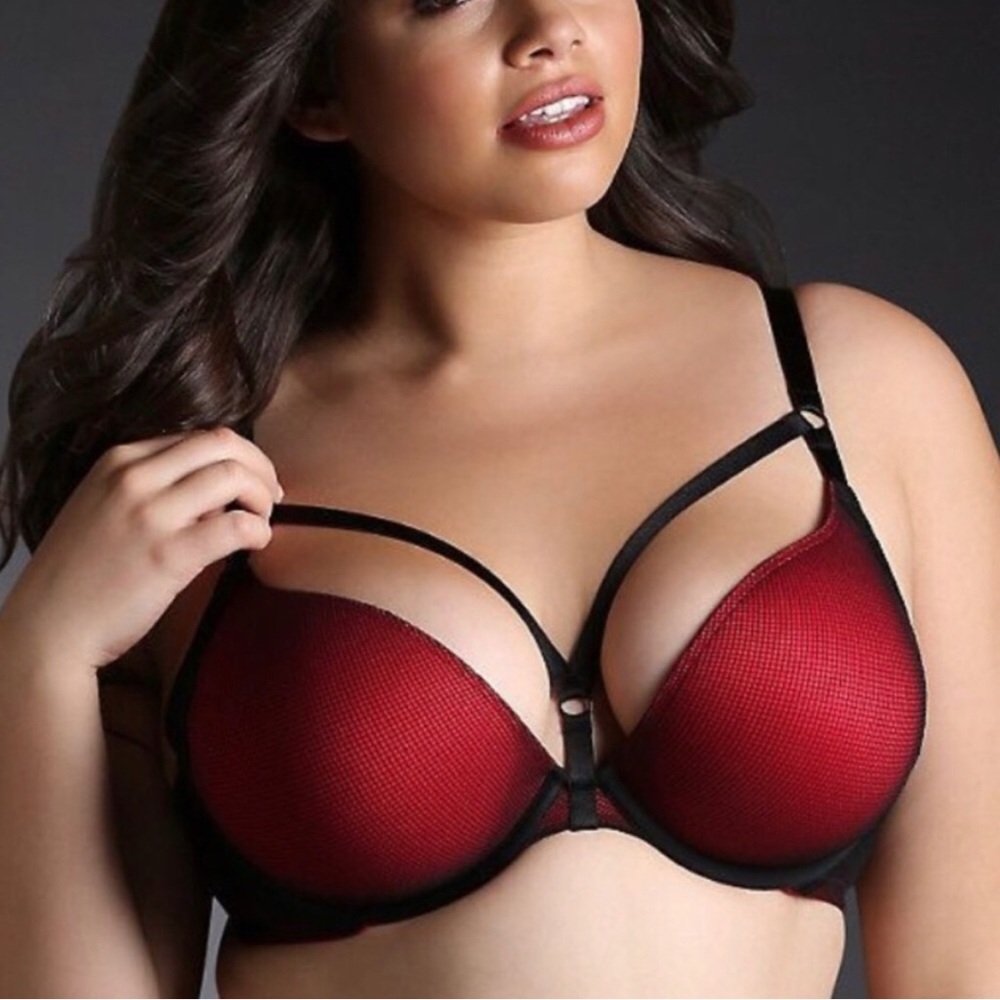 Torrid Bra